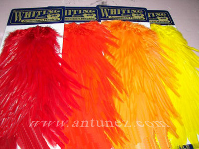 Saddle Whiting American Rooster
