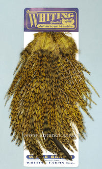 Saddle Whiting American Rooster