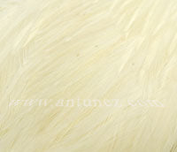 Cuellos Whiting American