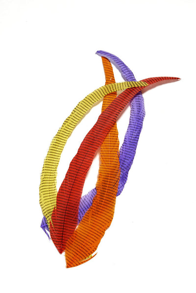 Plumas Barradas de Cola de Gallo