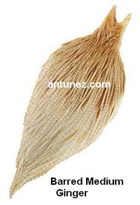 Cuellos Whiting Bronce