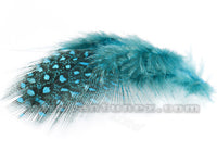 Gallina Guinea