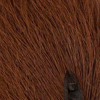 Bucktail