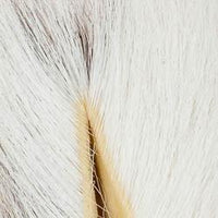 Bucktail