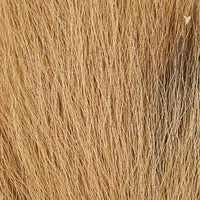 Bucktail