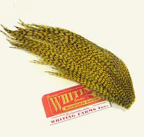 Bugger Packs Whiting