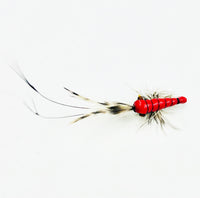 Cangrejo Rojo B81
