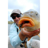 Carpas en la pesca a mosca