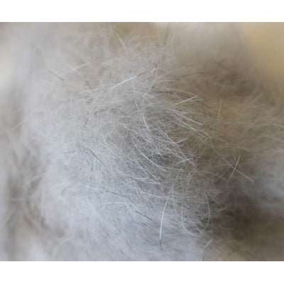 Dubbin de Chinchilla 1 g.