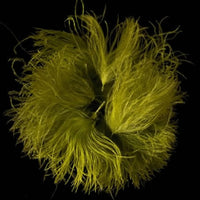 CDC Puffs