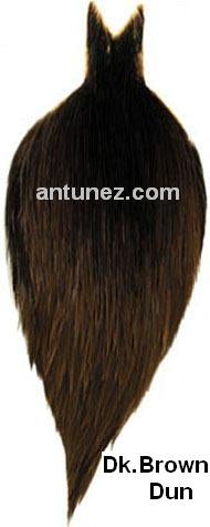 Cuellos Whiting Hebert Bronce