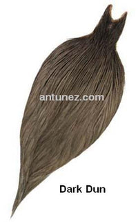 Cuellos Whiting Bronce
