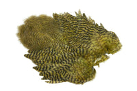 Whiting Rooster SH/C