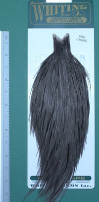 Cuello Whiting Hebert Pro-grade