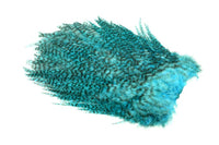 Saddle 4 B's Rooster