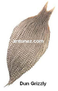 Cuellos Whiting Hebert Bronce