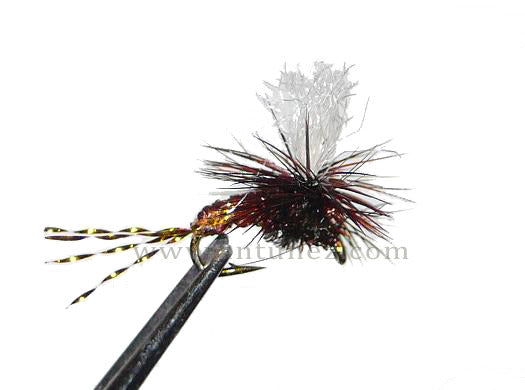 Emergente Klinkhamer Marrón EM20