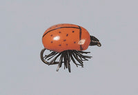 Cordón Float Foam Rainy´s