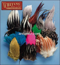 Whiting Variety Pack