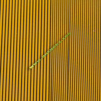 Quill Sintético