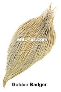 Cuellos Whiting Hebert Bronce