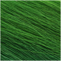 Bucktail