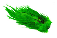 Saddle 4 B's Rooster