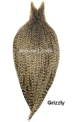 Cuellos Whiting Bronce
