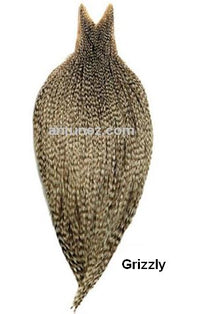 Cuellos Whiting Bronce
