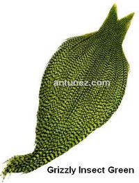Cuellos Whiting Bronce
