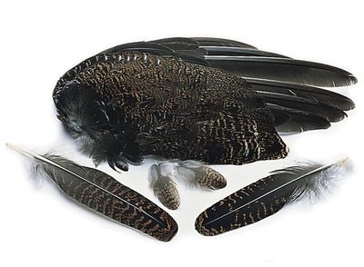 Alas de Urogayo Inglés (Grouse)
