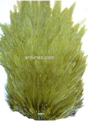 Saddle Gallina ATZ