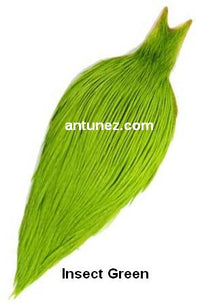 Cuellos Whiting Bronce