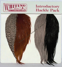 Whiting Intro Hackle Pack Cuellos