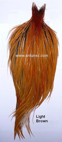 Cuellos Whiting Hebert Bronce