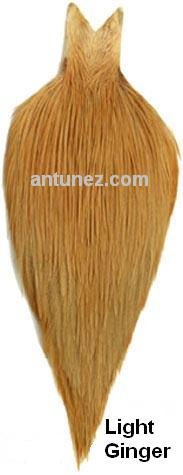 Cuellos Whiting Bronce