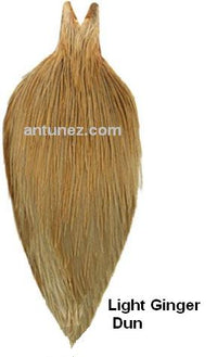 Cuellos Whiting Hebert Bronce