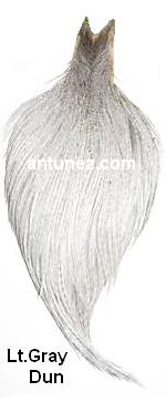 Cuellos Whiting Hebert Bronce