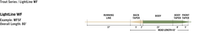 Linea RIO Light Line WF Premier