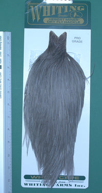 Cuello Whiting Hebert Pro-grade