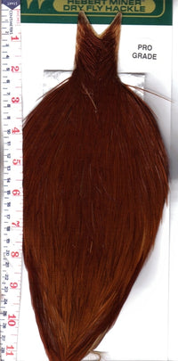Cuello Whiting Hebert Pro-grade