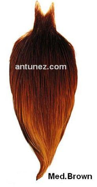 Cuellos Whiting Hebert Bronce