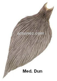 Cuellos Whiting Bronce