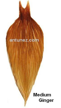 Cuellos Whiting Bronce