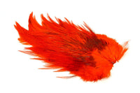 Saddle 4 B's Rooster