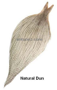 Cuellos Whiting Bronce