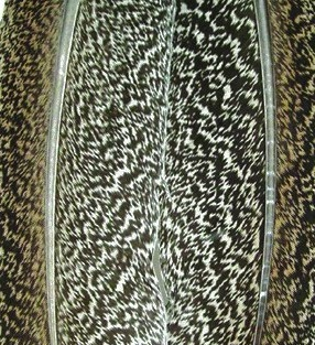 Plumas Moteadas de ala de Pavo #1