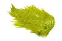 Saddle 4 B's Rooster