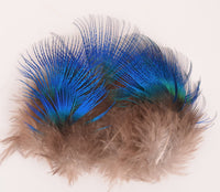 Cuello de Pavo Real Extra