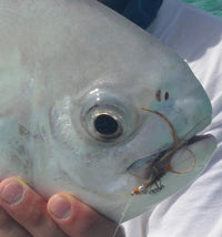 Avalon Permit Fly